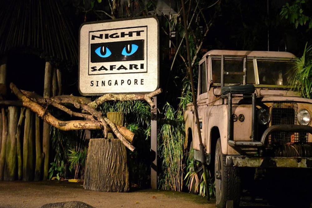 Night Safari